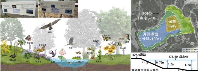 风景园林与旅游类 2019北京世园会自火狐电竞然生态展示区园林景观工程设计(图5)