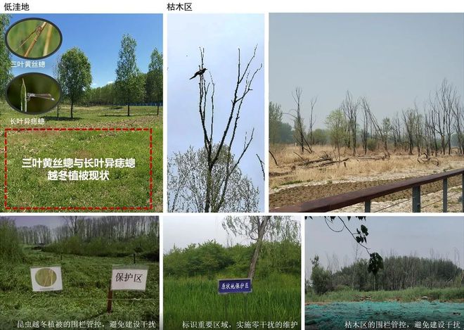 风景园林与旅游类 2019北京世园会自火狐电竞然生态展示区园林景观工程设计(图6)