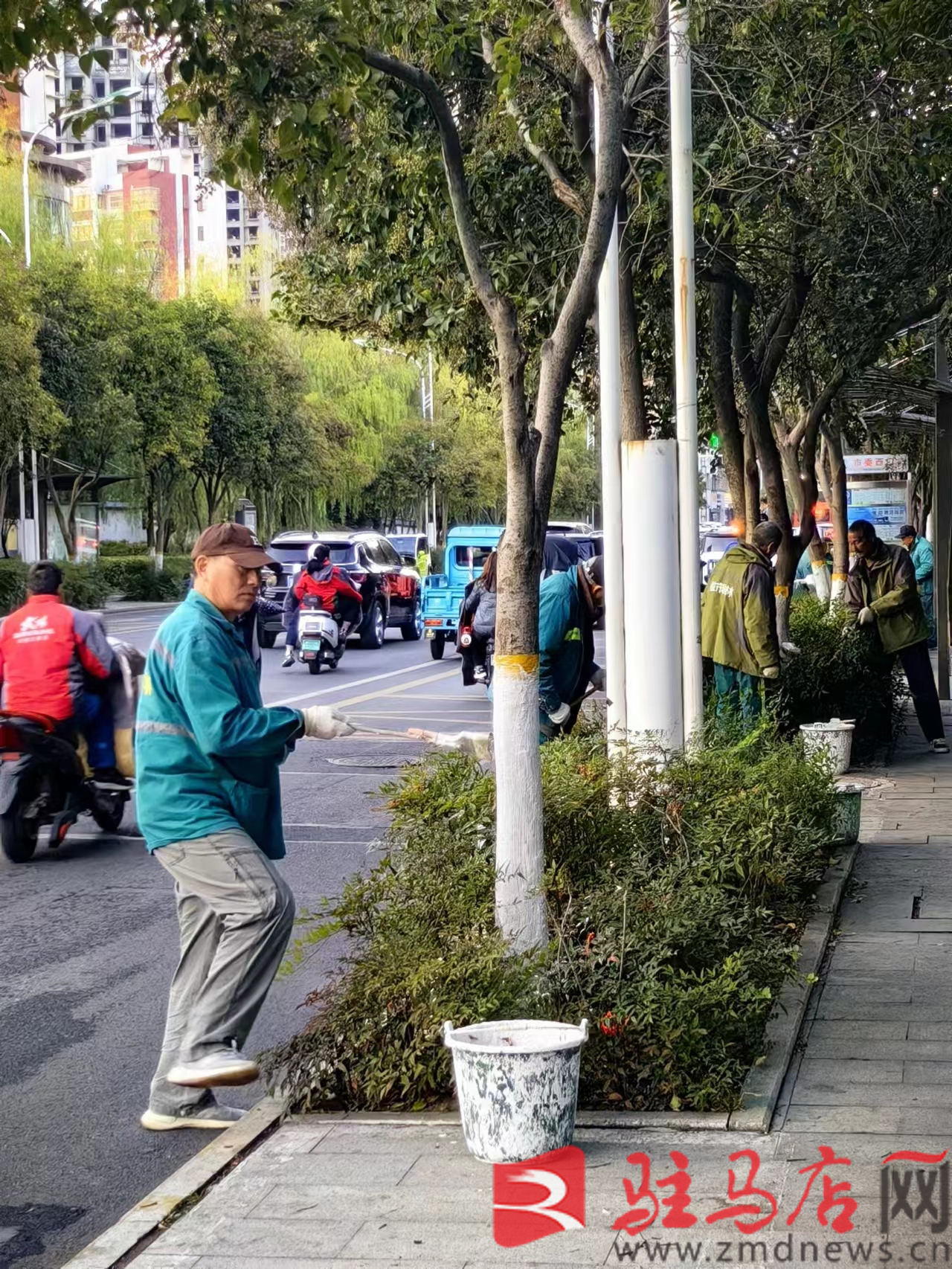 市园林绿火狐电竞化中心加强绿化养护管理 确保树木安全过冬(图2)