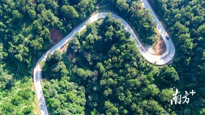 火狐电竞如何科学推进茂名国土绿化？实施方案来了！(图1)
