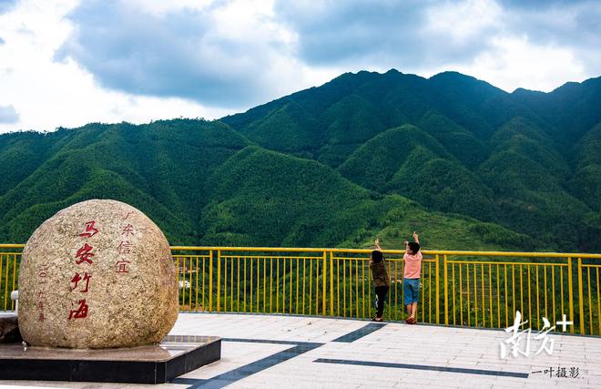 火狐电竞如何科学推进茂名国土绿化？实施方案来了！(图2)