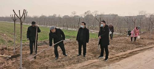 火狐电竞扶风县召公镇：扎实开展春季绿化工作 掀起植树造林高潮(图3)