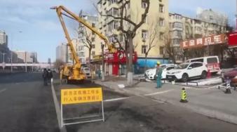 绿化街路景观和公园环境迎“五一”！哈市启动园林绿化“春整”火狐电竞(图1)