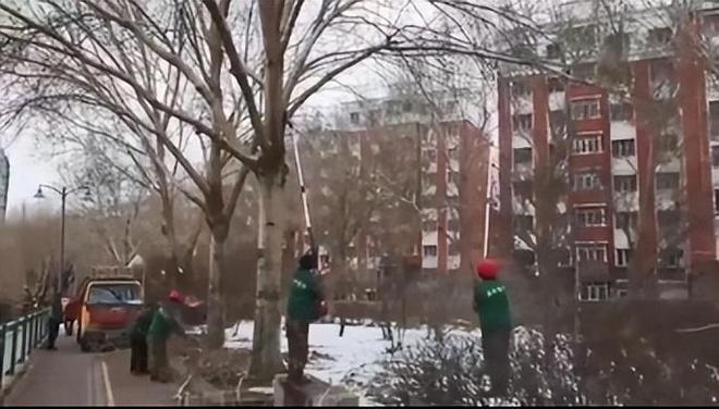 绿化街路景观和公园环境迎“五一”！哈市启动园林绿化“春整”火狐电竞(图2)