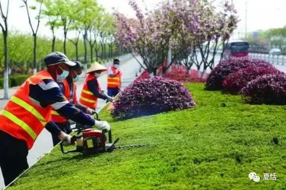 园林绿化工程师证书麻醉科？证书有火狐电竞什么用途？权威性如何？(图2)