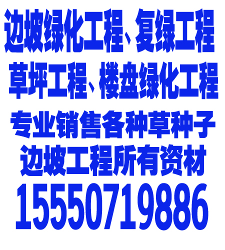 火狐电竞城市绿化树木品种大全图(图1)