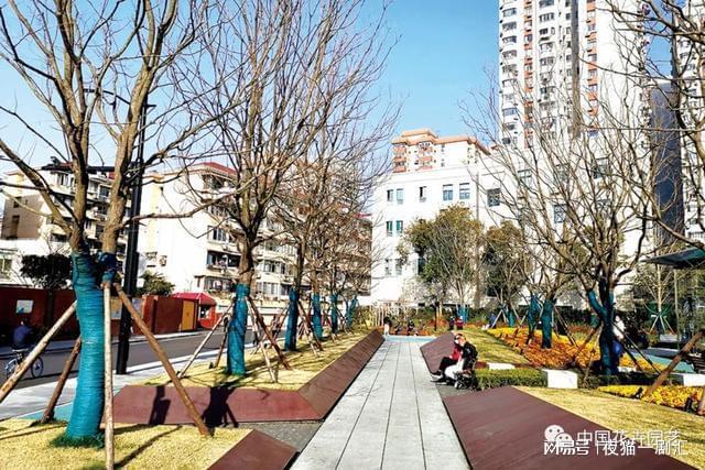 居民身边的口袋公园——上海徐汇乐山花园（绿地） 火狐电竞技术(图2)