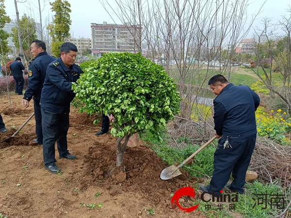 火狐电竞确山县城管局：开展园林绿化养护 为市民打造靓丽春天(图5)