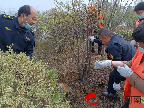 火狐电竞确山县城管局：开展园林绿化养护 为市民打造靓丽春天(图4)