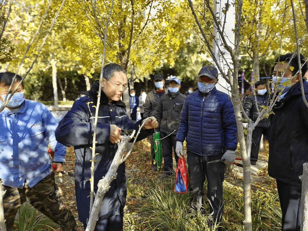 火狐电竞【一线动态】以学促干 切实提升园林绿化养护水平(图2)