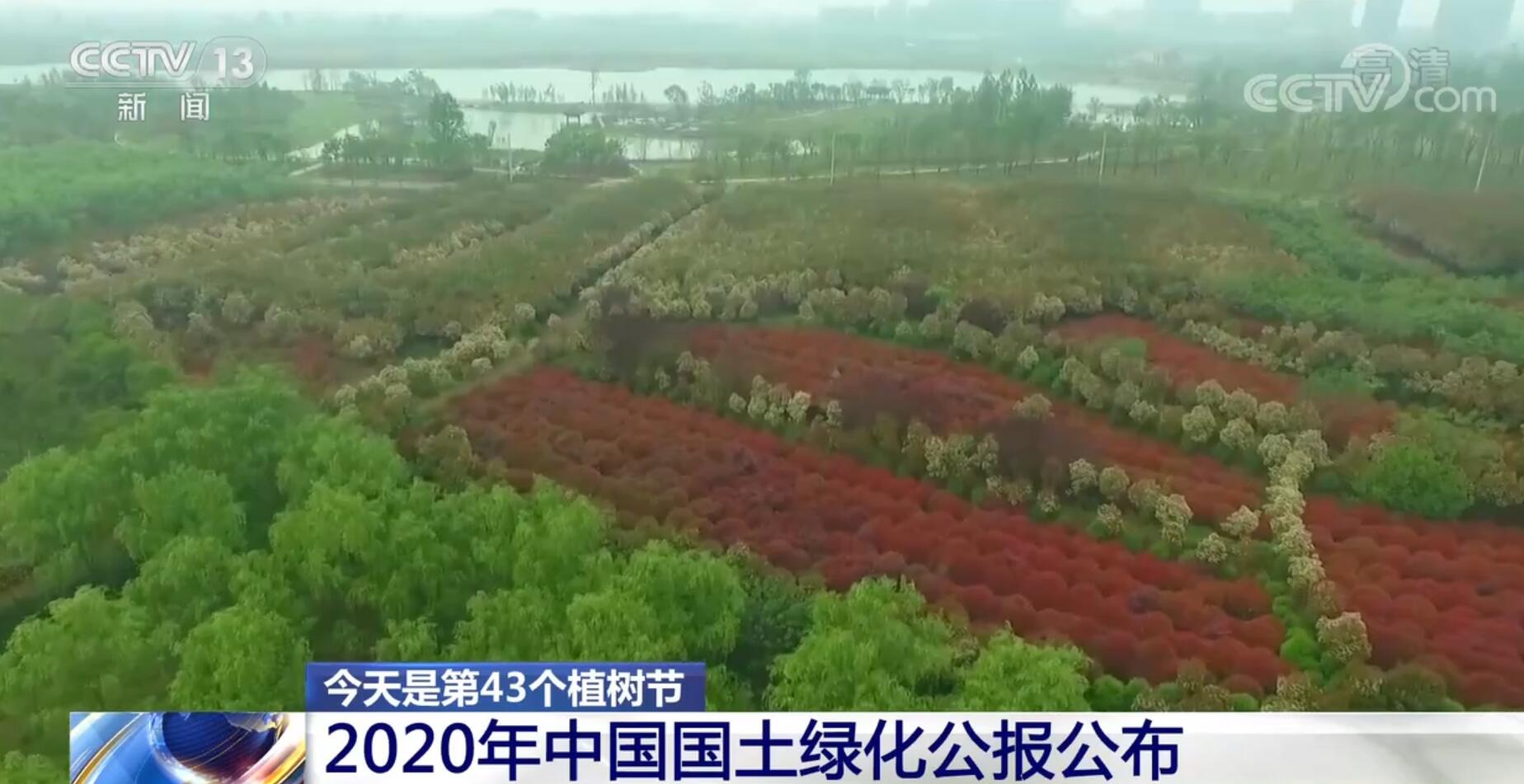 火狐电竞我国深入推进大规模国土绿化行动 国土绿化事业取得新进展新成效(图1)