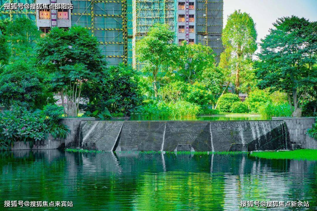 碧桂园南站新城怎么样值不值的买？碧桂园南站新城读什么学校？ - 楼盘详情火狐电竞(图5)
