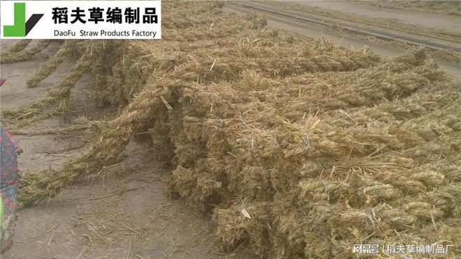 边坡绿化新选择 护坡草棒的施工火狐电竞与养护(图1)