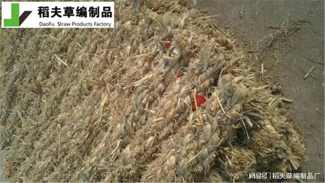 边坡绿化新选择 护坡草棒的施工火狐电竞与养护(图2)