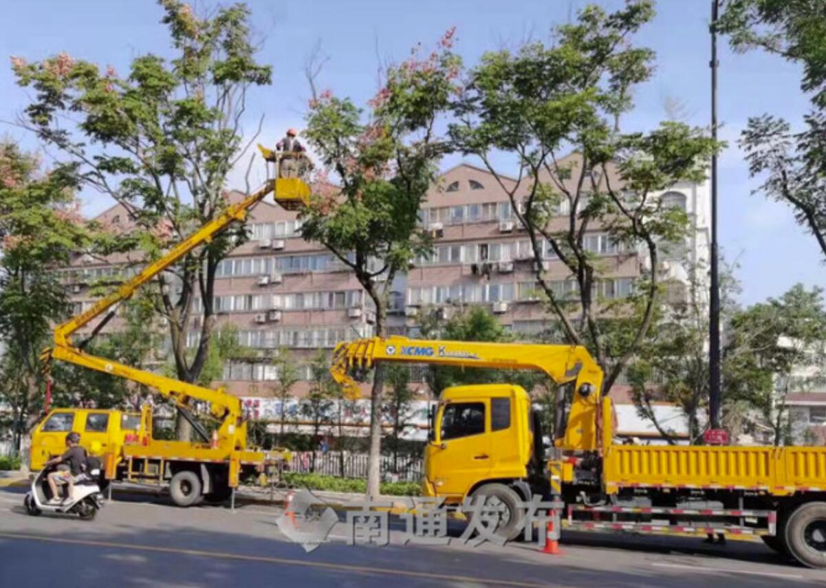 国火狐电竞庆佳节期间 600余名园林绿化一线工人坚守岗位(图1)