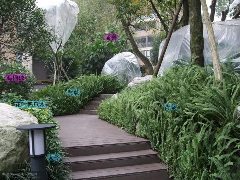 郑州园林绿化公司联系方式火狐电竞(图1)