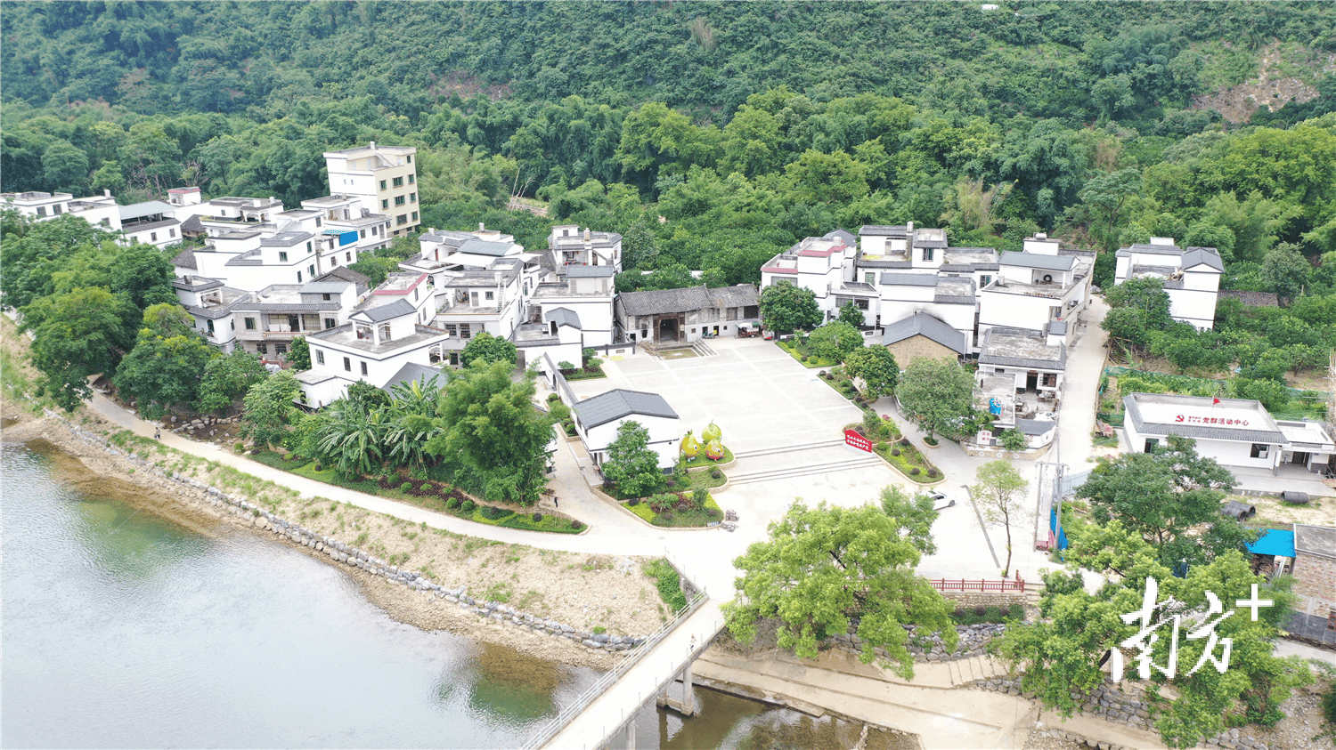 火狐电竞乡村植绿17万多株！阳山全“绿”以赴绽放新颜！(图2)