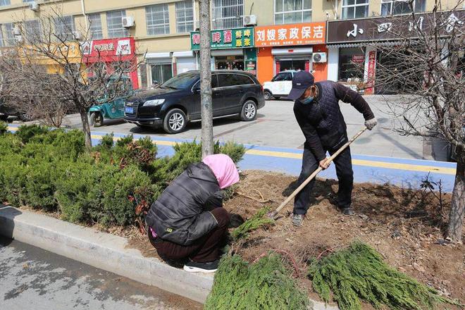火狐电竞沾化区综合行政执法局：绿化补植助力城市焕新颜(图1)