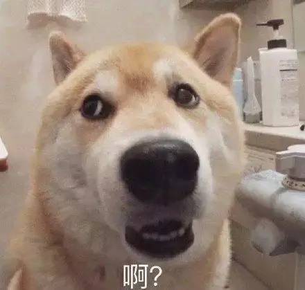 尿尿的正确读音是什么?相信大部分人都念错火狐电竞了!正确读音很少用!(图2) 尿尿的正确读音是什么?相信大部分人都念错火狐电竞了!正确读音很少用!(图2)