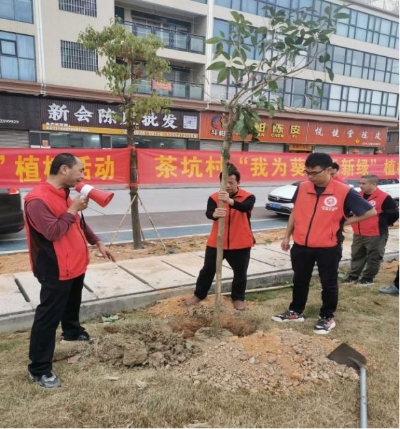 火狐电竞新会区以“三个坚持”落实苗木管护 全力做好大规模植树造林后半篇文章(图4)