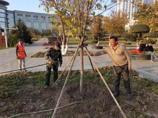 火狐电竞园林绿化养护中心扎实开展秋季绿化养护持续打造优美宜居环境(图1)