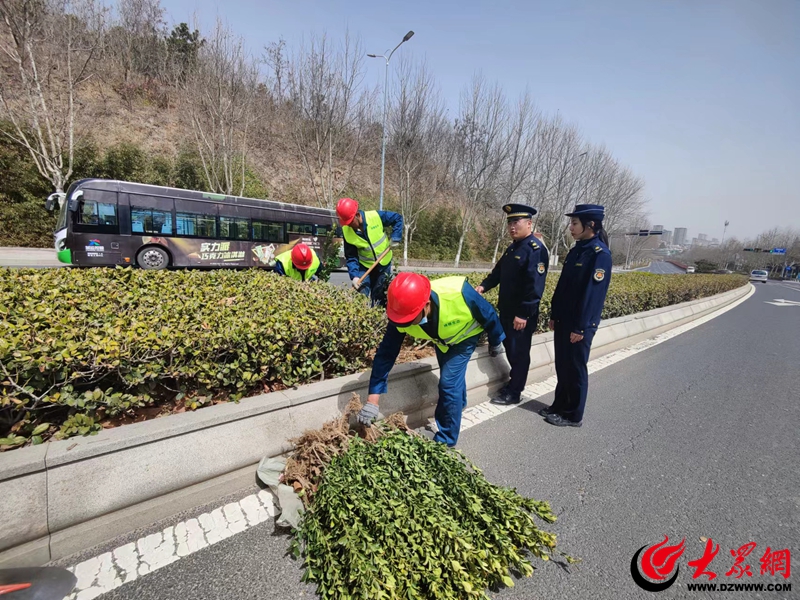 青岛市城市管理局启动“春季火狐电竞护绿”专项执法行动 发布城市绿化温馨提示(图2)