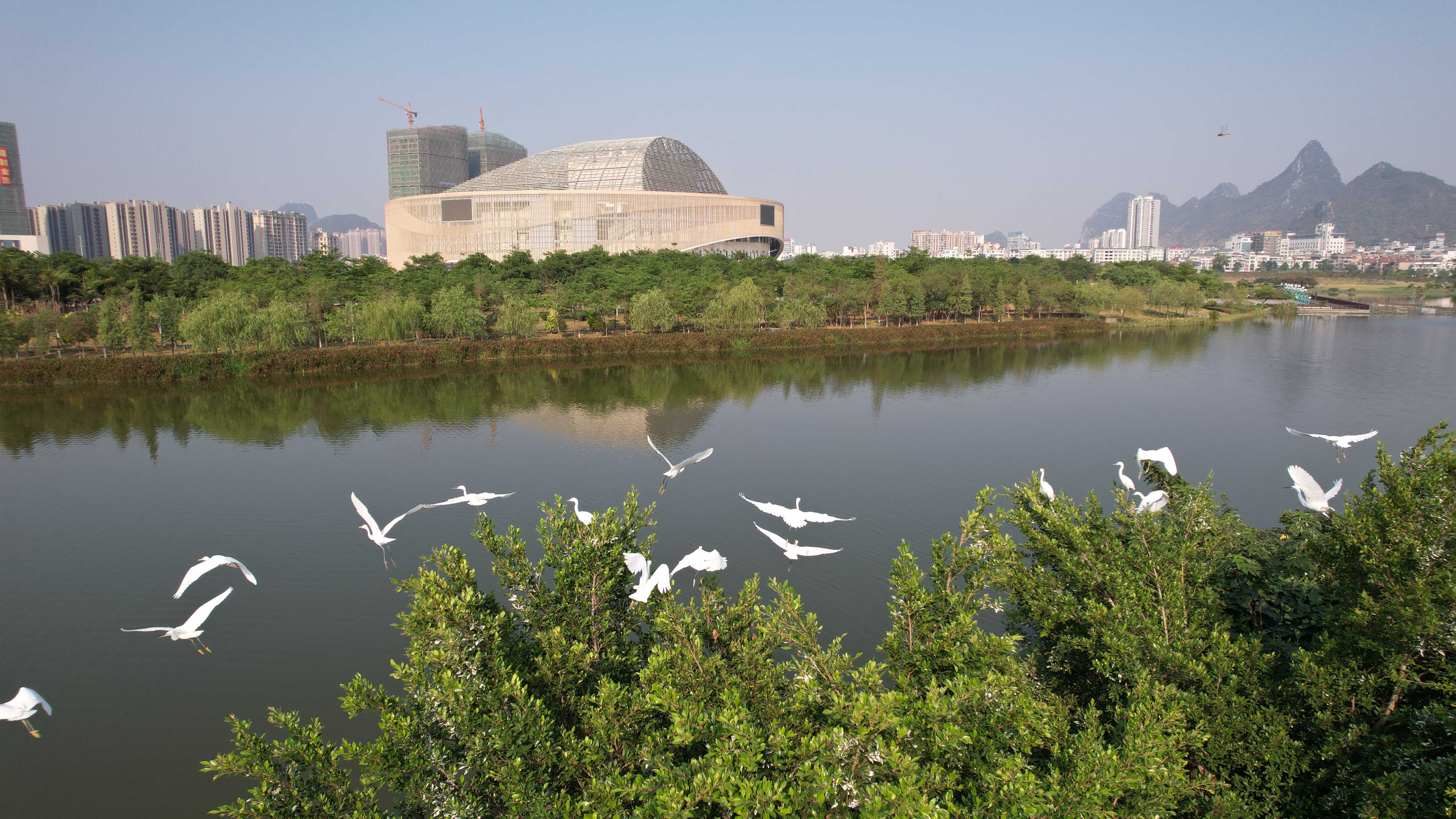 火狐电竞共建可持续的城市未来丨广西贺州：推进园林绿化提升城市“颜值” 谱写山水园林长寿城建设新篇章（组图）(图1)