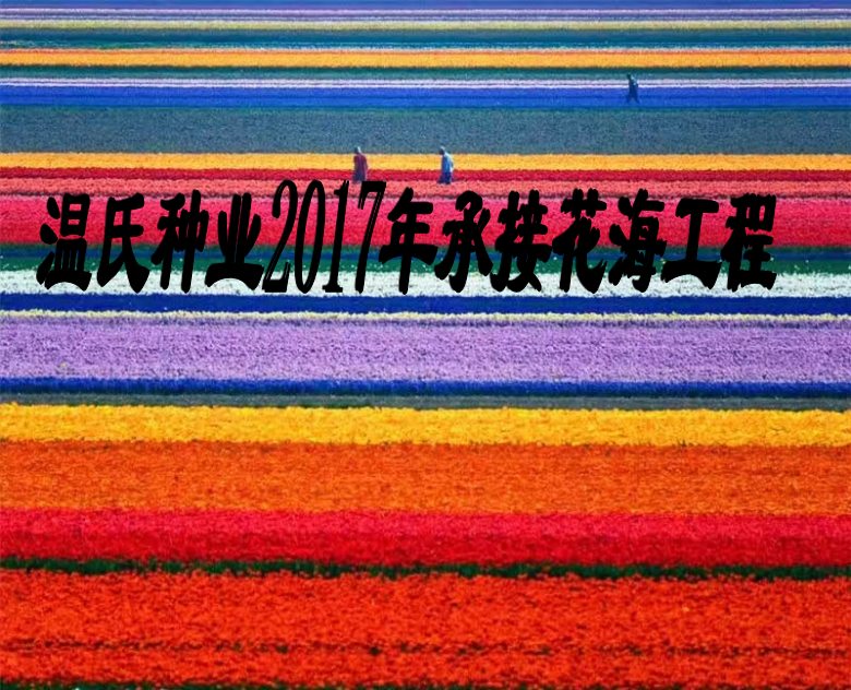 安徽火狐电竞宿州市天人菊种子草坪贴图(图2)