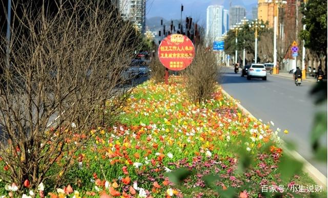 火狐电竞我国随处可见的绿化带为何欧洲却没有？原因令人彻悟(图3)