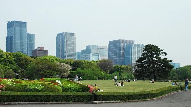 火狐电竞我国随处可见的绿化带为什么欧洲却没有？原因令人彻悟(图2)