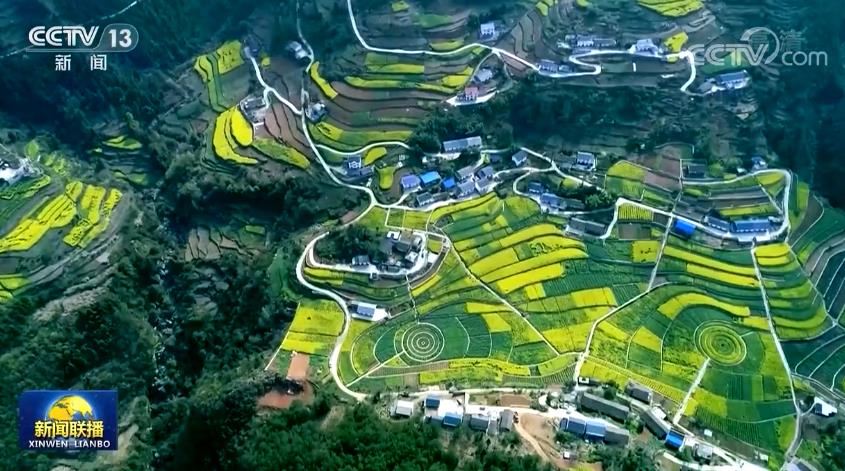 【新思想引领新征程】爱绿植绿护绿 让中国更美丽火狐电竞(图1)