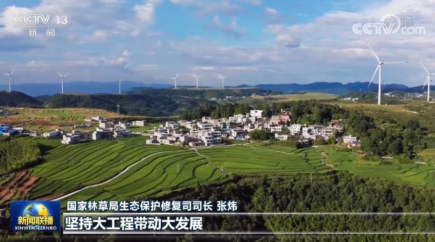 【新思想引领新征程】爱绿植绿护绿 让中国更美丽火狐电竞(图2)