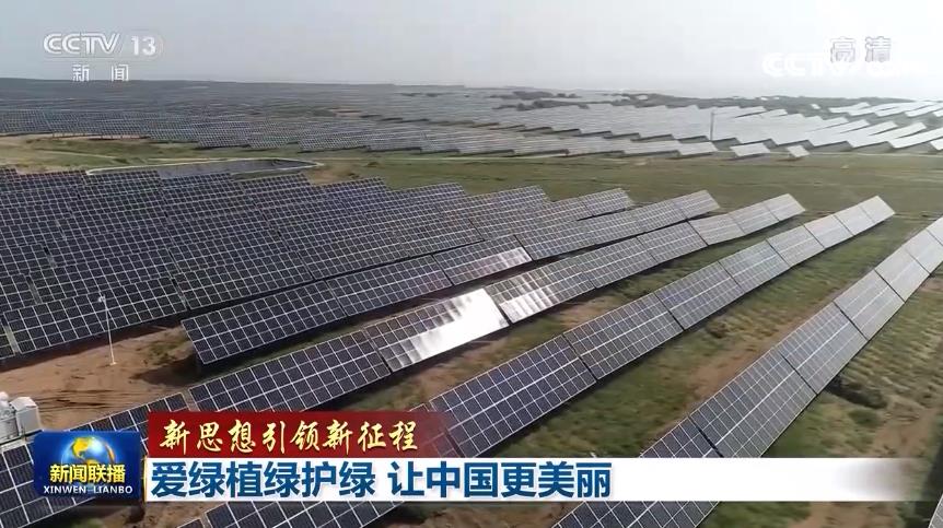 【新思想引领新征程】爱绿植绿护绿 让中国更美丽火狐电竞(图3)