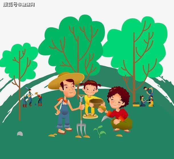植树节科普：城市绿化苗木品种有哪些？如火狐电竞何选择和养护？(图4)