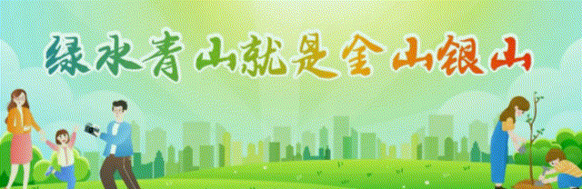 培育优质苗木 绿化美丽火狐电竞县城(图5)