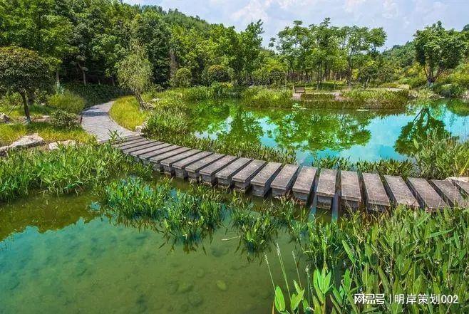 明岸——园林树火狐电竞木在广东景观设计中的作用(图3)