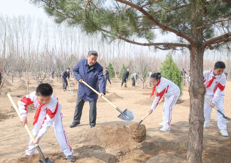 增绿就火狐电竞是增优势植树就是植未来(图1)