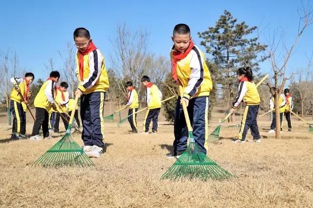 时政微观察丨增厚“绿色家火狐电竞底”提出新要求(图3)