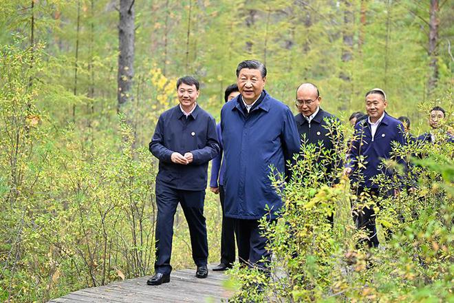 时政微观察丨增厚“绿色家火狐电竞底”提出新要求(图4)