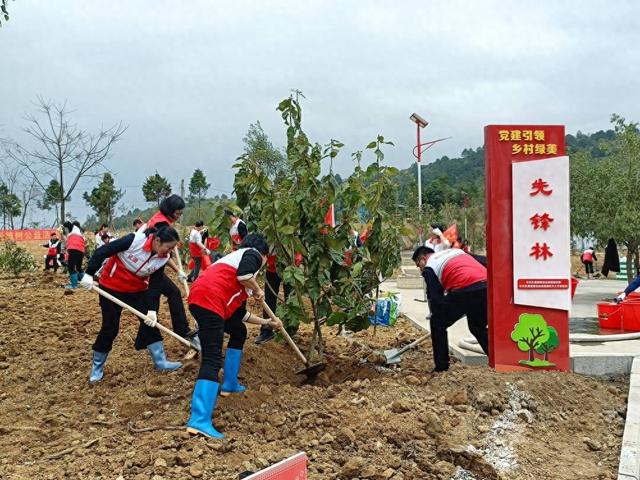？广东再掀义务植树热潮乡村绿化已种植苗木371万株火狐电竞(图1)