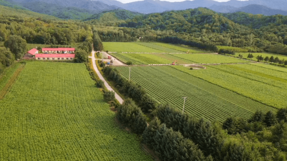 龙江森工集团火狐电竞：打造国有苗圃集群 夯实生态建设根基(图2)
