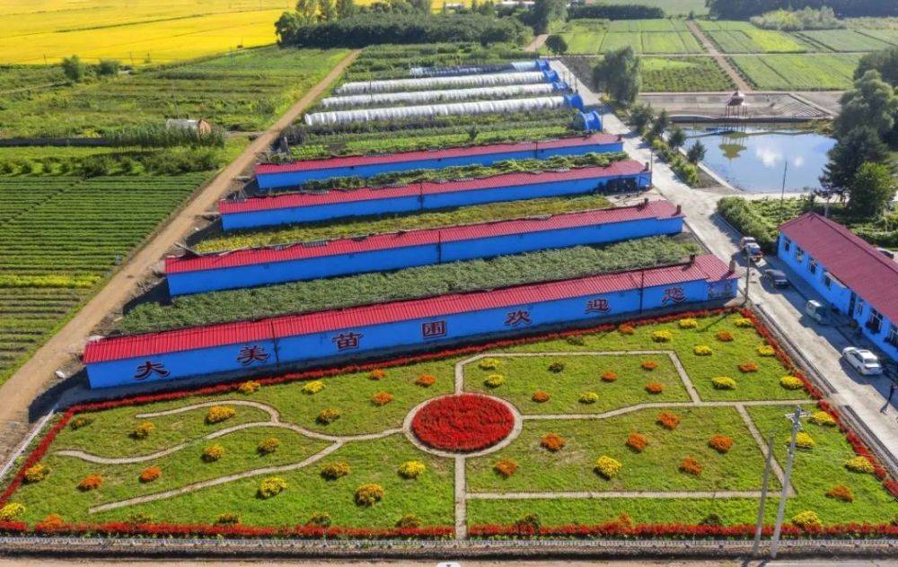 龙江森工集团火狐电竞：打造国有苗圃集群 夯实生态建设根基(图4)