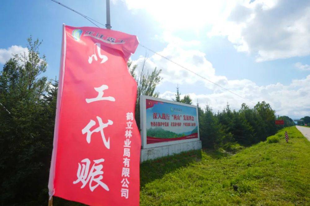 龙江森工集团火狐电竞：打造国有苗圃集群 夯实生态建设根基(图6)