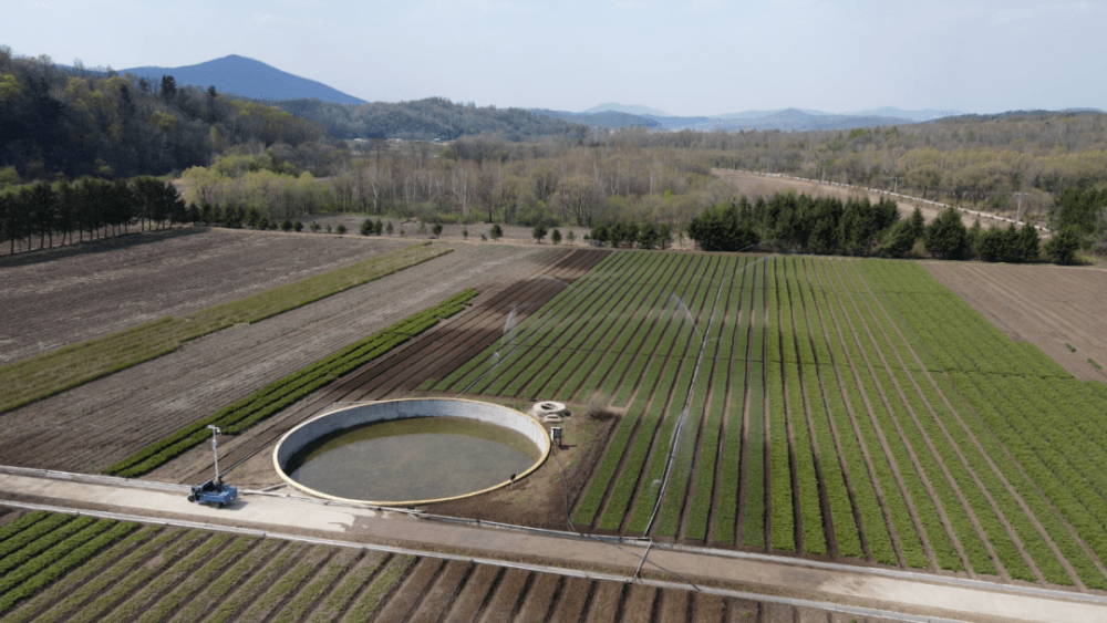 龙江森工集团火狐电竞：打造国有苗圃集群 夯实生态建设根基(图7)