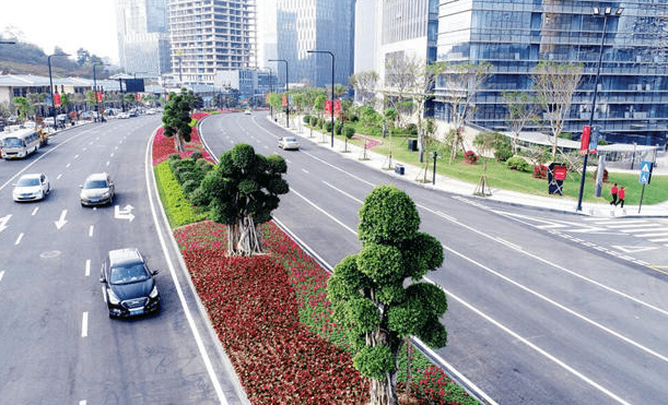 火狐电竞城市街道绿化的作用有哪些？为何我国对它爱不释手？(图1)