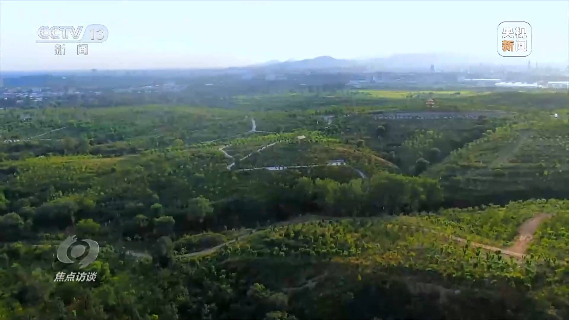 焦点访谈丨全民植火狐电竞树增绿 共建美丽中国(图3)