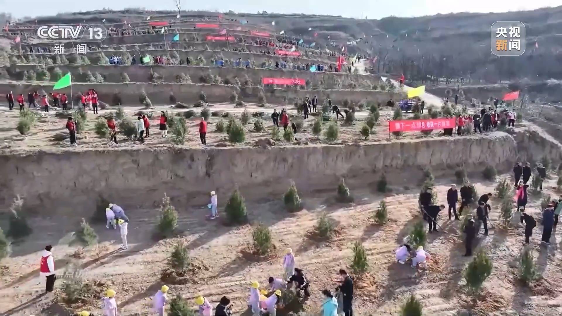 焦点访谈丨全民植火狐电竞树增绿 共建美丽中国(图4)