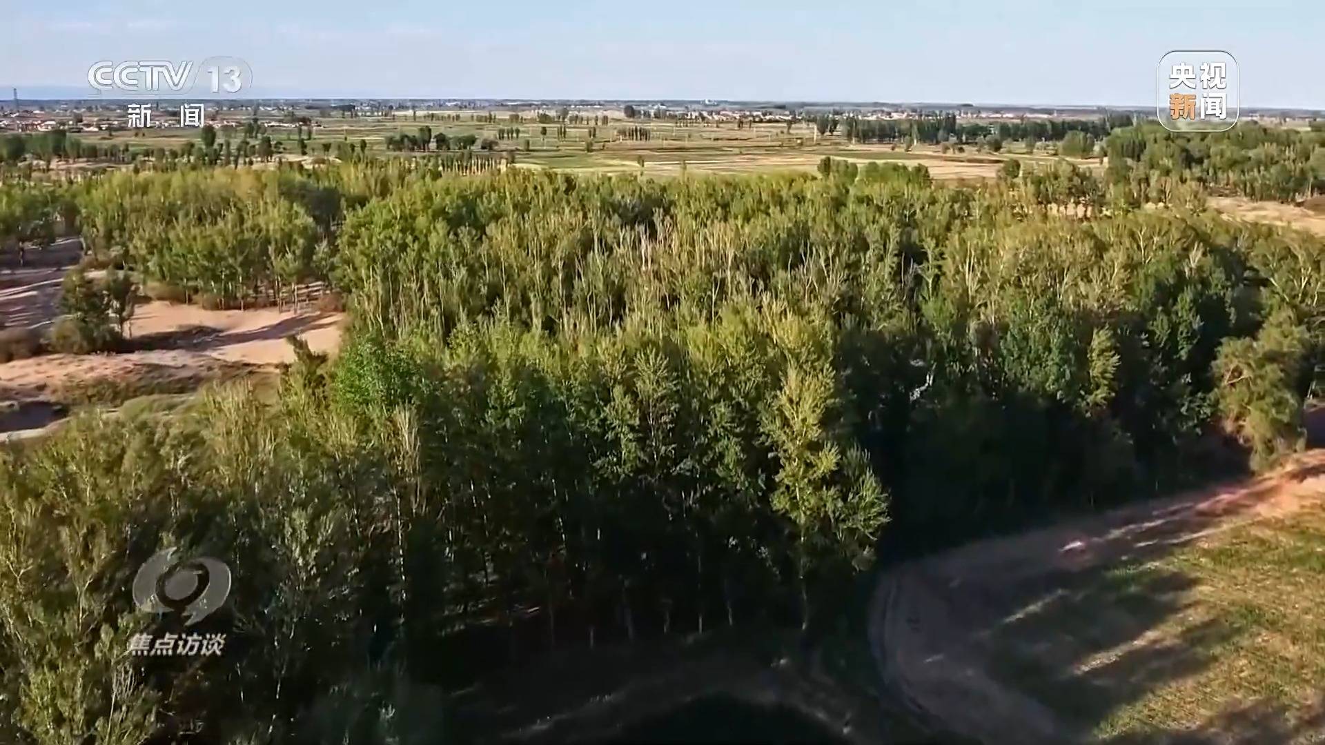 焦点访谈丨全民植火狐电竞树增绿 共建美丽中国(图5)
