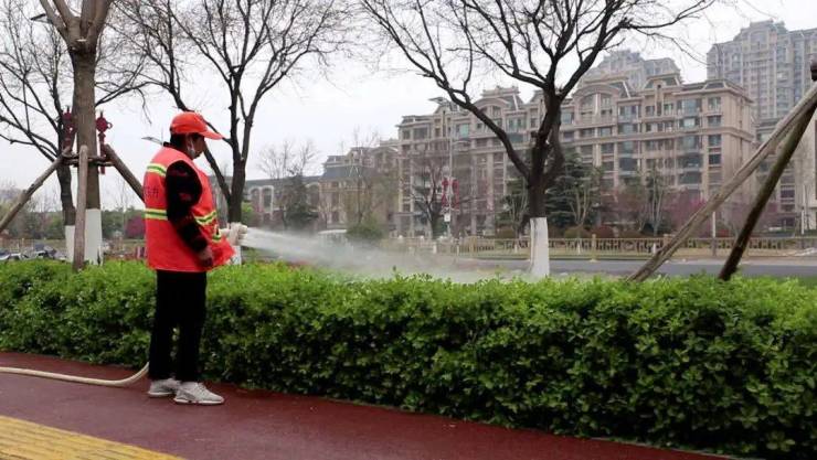 提升城市绿化品质!济宁高新区完成火狐电竞90万平米绿化养护工作(图2)