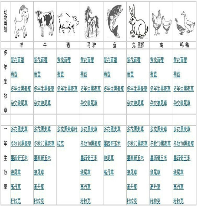 阜新市绿火狐电竞化草皮多少钱一平方(图1)